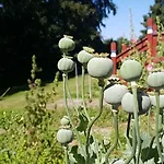 Oda ve Kahvaltı Hesede Hovedgard 3*