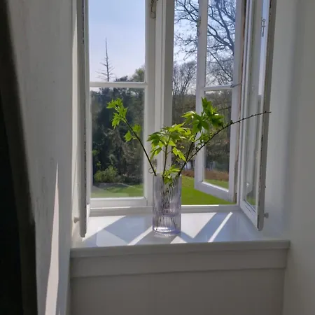 Hesede Hovedgard هاسلف