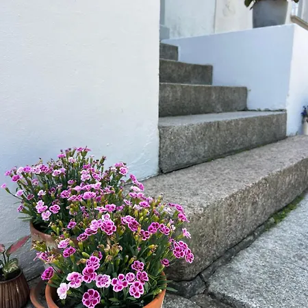 Frühstückspension Hesede Hovedgard