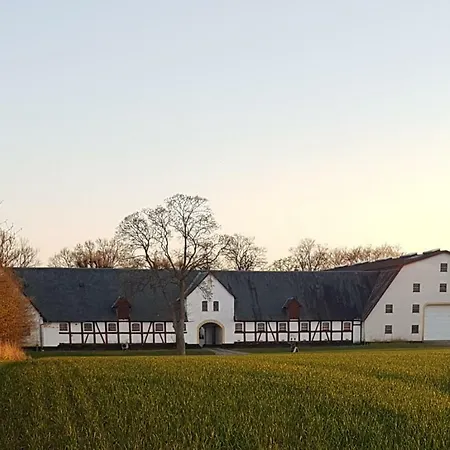 فندق مبيت وإفطار Hesede Hovedgard