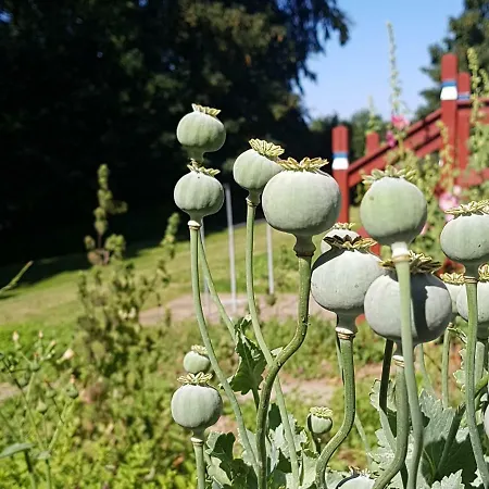 فندق مبيت وإفطار Hesede Hovedgard 3*