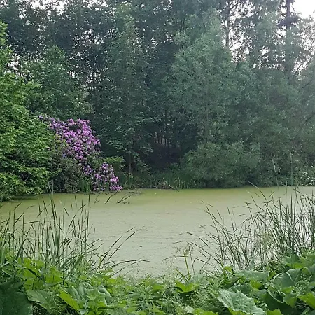 Hesede Hovedgard فندق مبيت وإفطار هاسلف