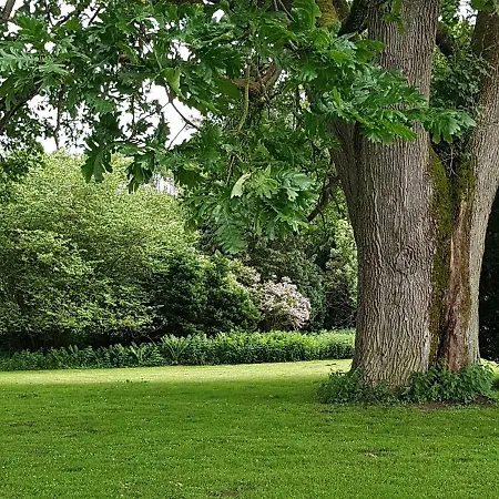 Hesede Hovedgard هاسلف